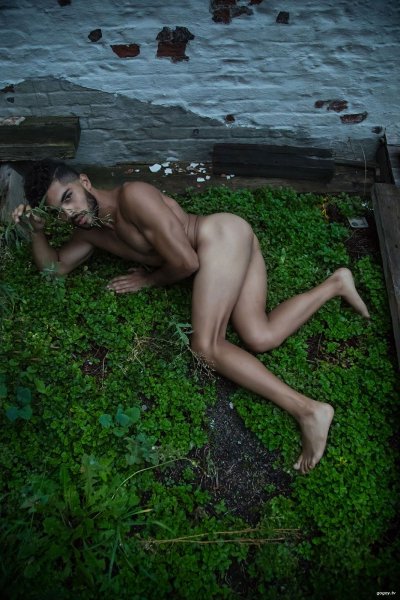 nelson-homotography-mcintyre-08