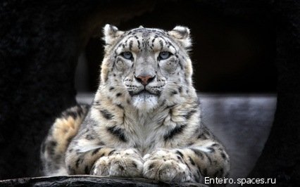 picture_97956428
