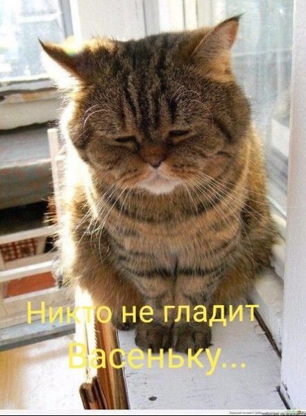 Bd88a9e63c8a9b22c22514569e1af07c