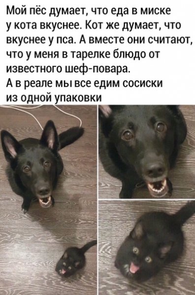 wTzruF9B2h8