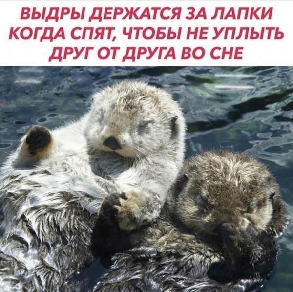 b3a56a9167bfc6fdf2fc52bbc8b2c