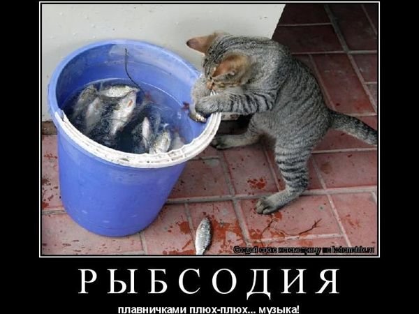 Музыка!