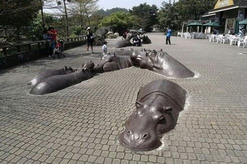 image-476