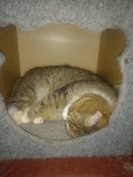 picture_391717376