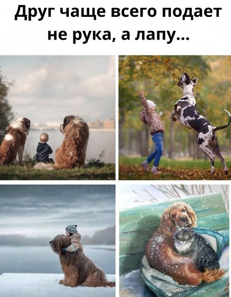 Все верно!