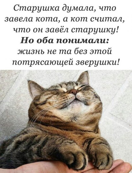 И это так!!!
