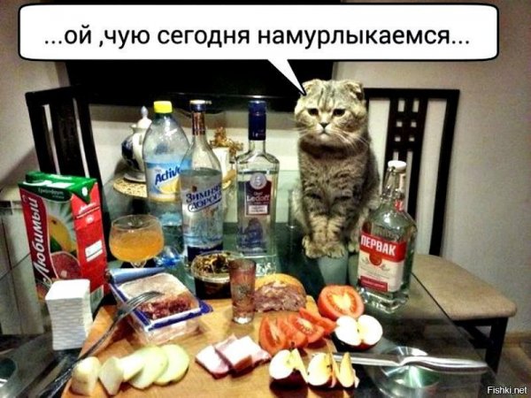 Намурлыкаемся....