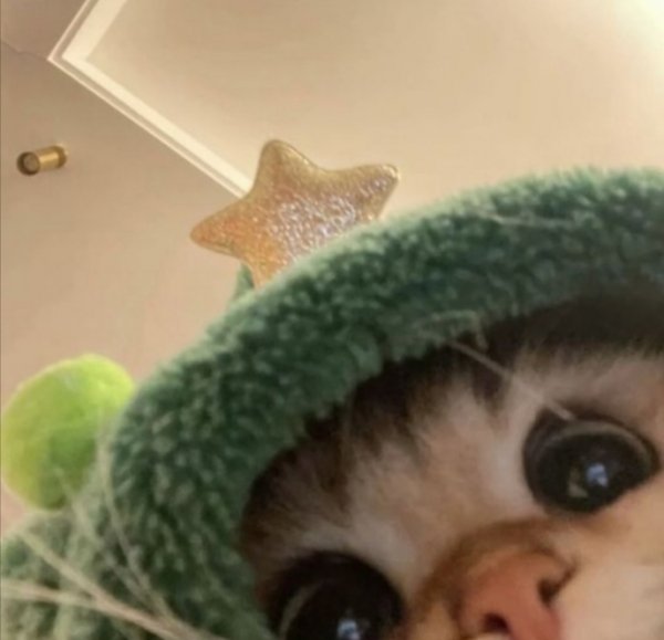 IMG 20231129 041322