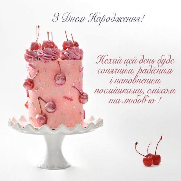 Soniachnuj-Den-Cake-768x768