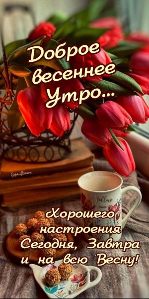 Друзья!