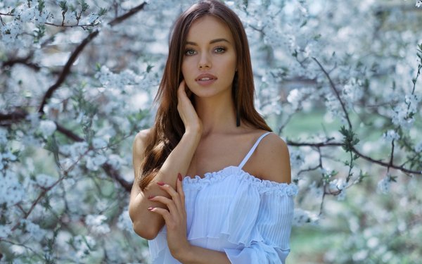 picture_415338908