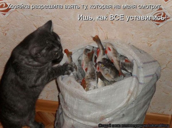 Ишь, как все уставились!