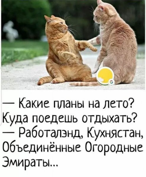 Оба - на!!!