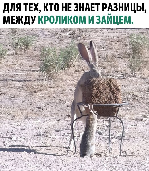 QHhvR25HEho