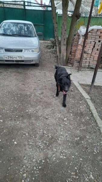 picture_398104363