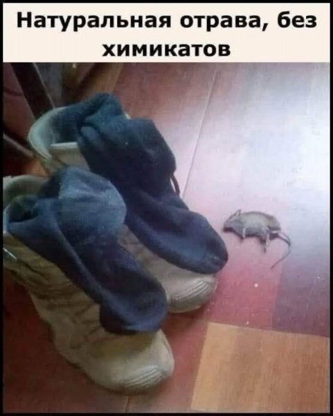 f.1200.1200.0