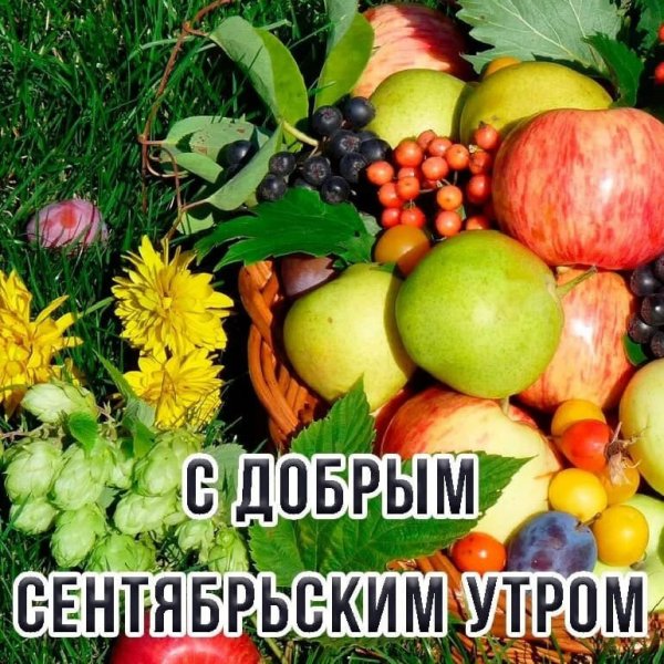 Друзья!