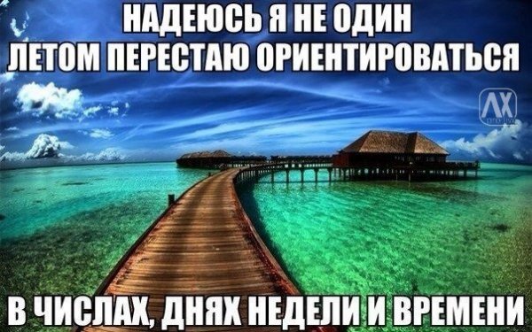 xj1oHSHCdO0