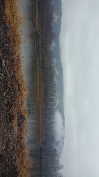 picture_362493520