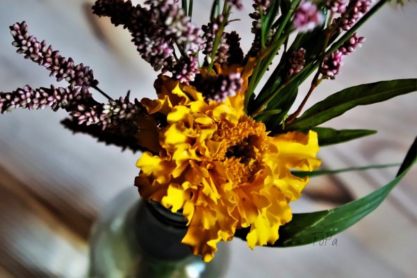 f0a7e IMG 6615 denoise