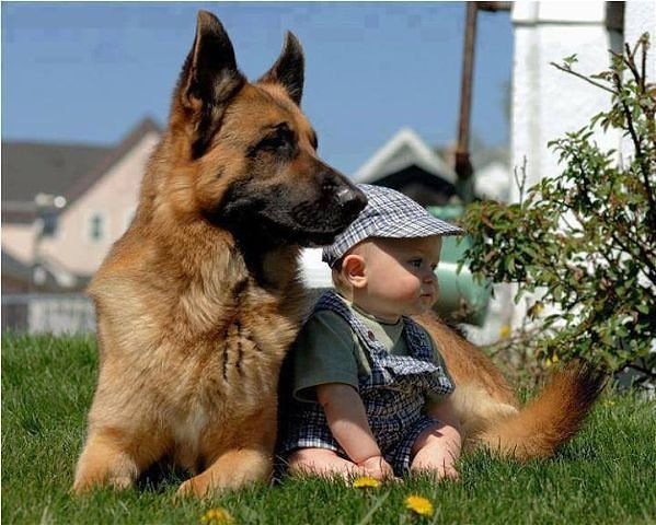 getImage