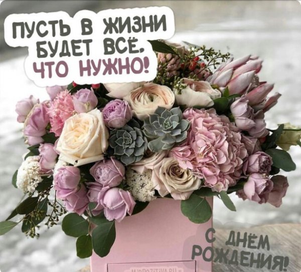 IMG-20191101-WA0006
