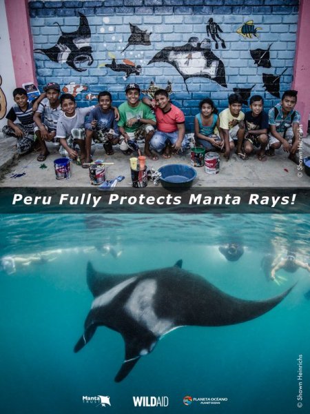 Racing Extinction