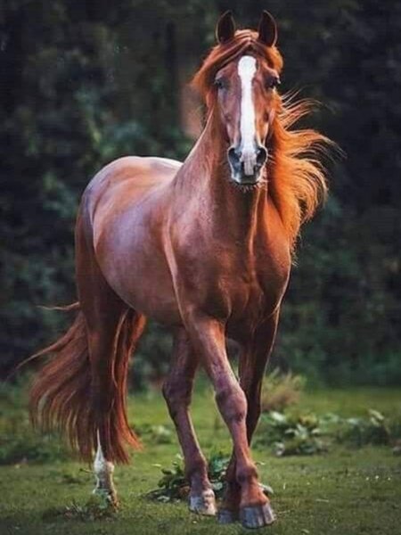 c8fee8ef17afea3b67931fd2f8cc
