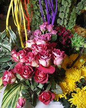 Flowers 089