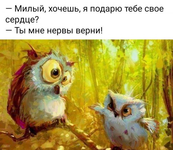 Юмор