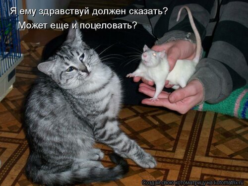 Джерри