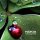 Реальный футбол 2010 240x400 samsung