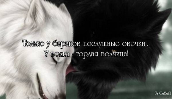 picture_109876695
