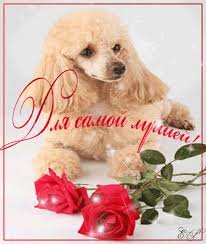 images-3