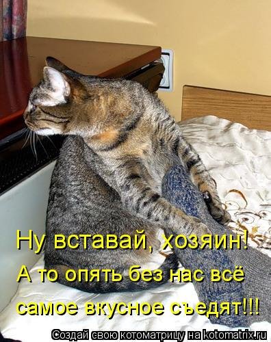 Самое вкусное съедят!!!