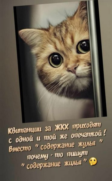 6f4d76fdefa304703a81b9a53b9ddd6b