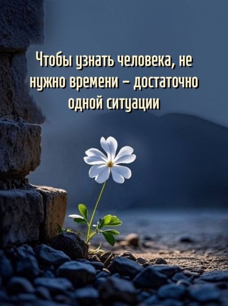 F297c3d0831d6b4ee8937bc0949ede02
