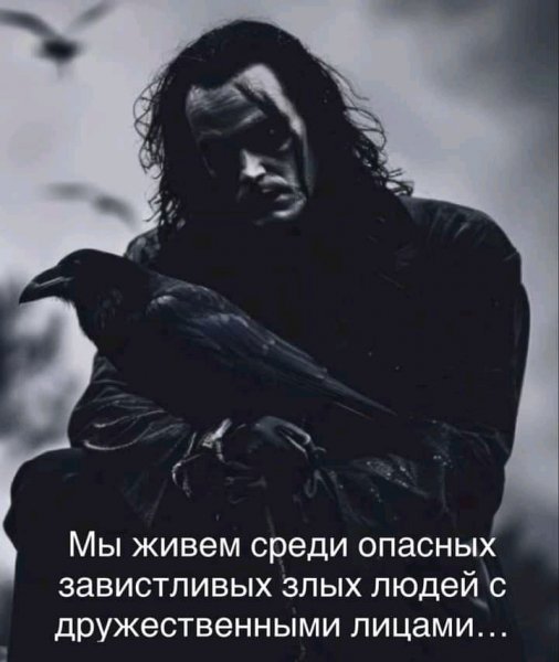 picture_377400500