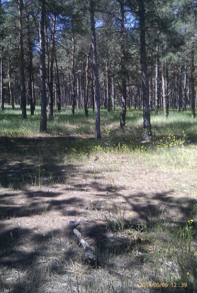 IMAG0049-1