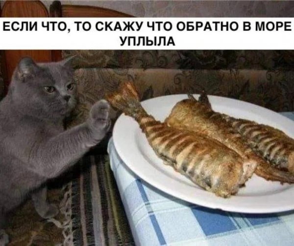 Да!