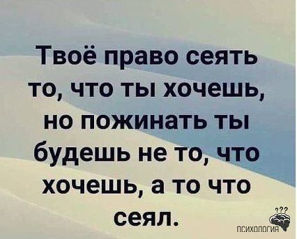 IMG 20191125 071130