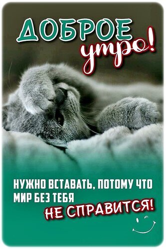 IMG-20250823-WA0015