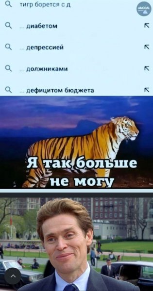 Тигр