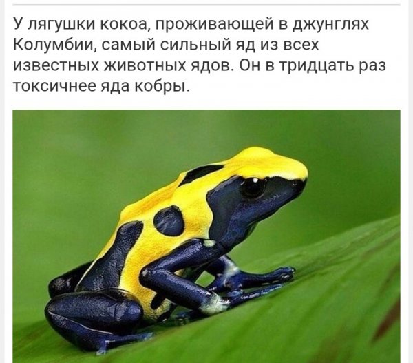 IMG 20160731 122527
