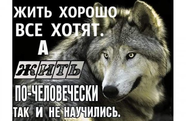 FB IMG 1550327315783