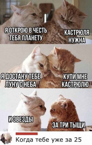 smeshnye-kartinki-i-skrinshoty-iz-socsetej-13