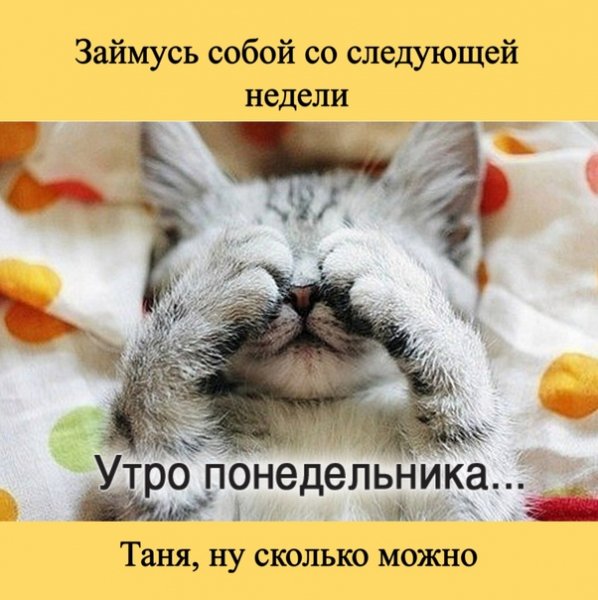 Ну сколько можно