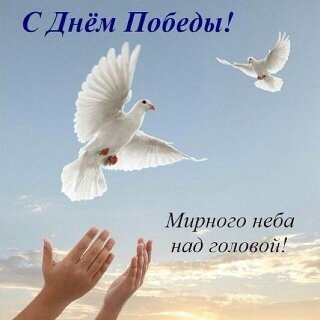 мирного неба над головой