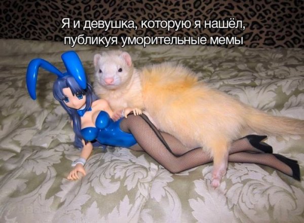 picture_418715777