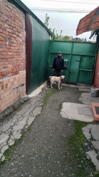 IMG-20221210-WA0007